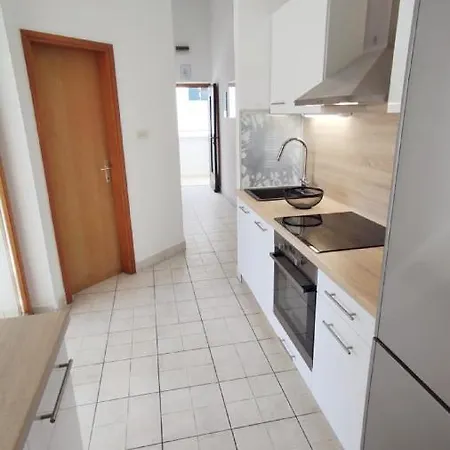 Apartment Riba Vis
